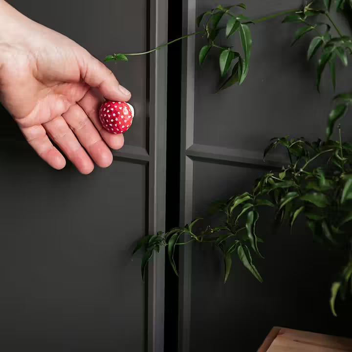 Cabinet Knob – Fly Agaric