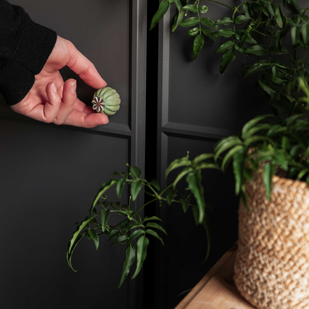 Cabinet Knob – Poppy Pod