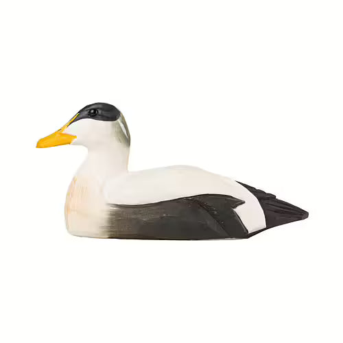 Bottle Opener Eider Duck