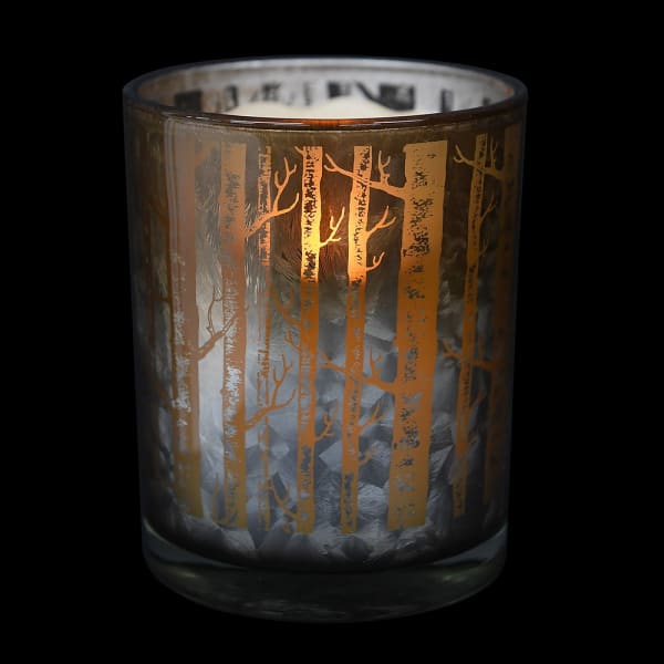 SML SILVERBIRCH HURRICANE