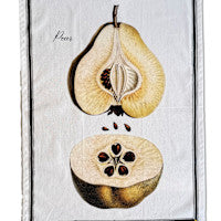 Pear Tea Towel