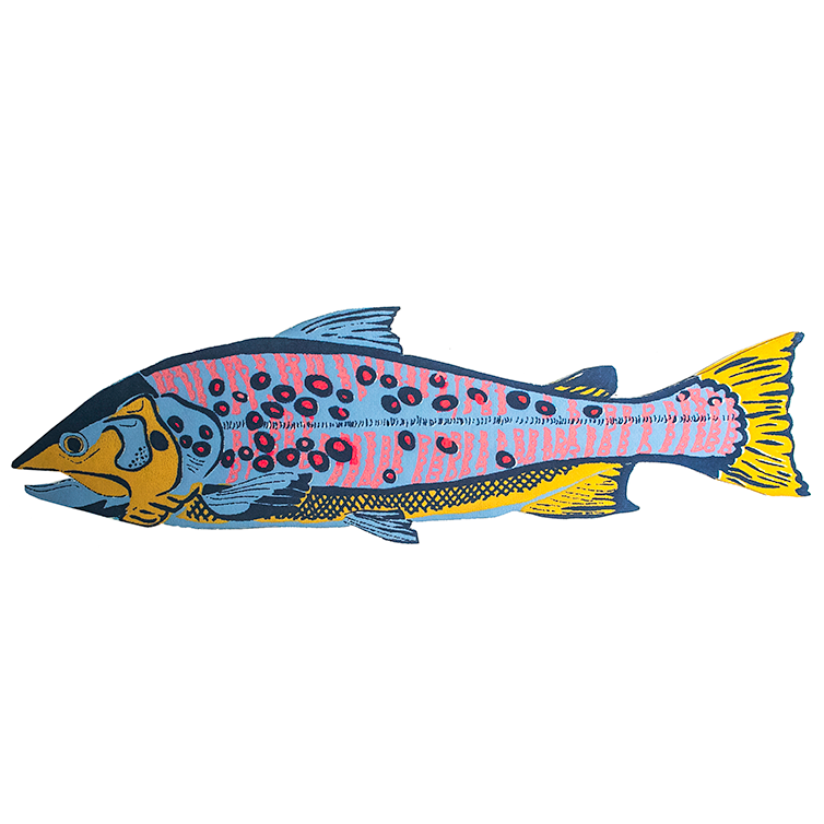 UK/EU: Trout Greeting Card : C5