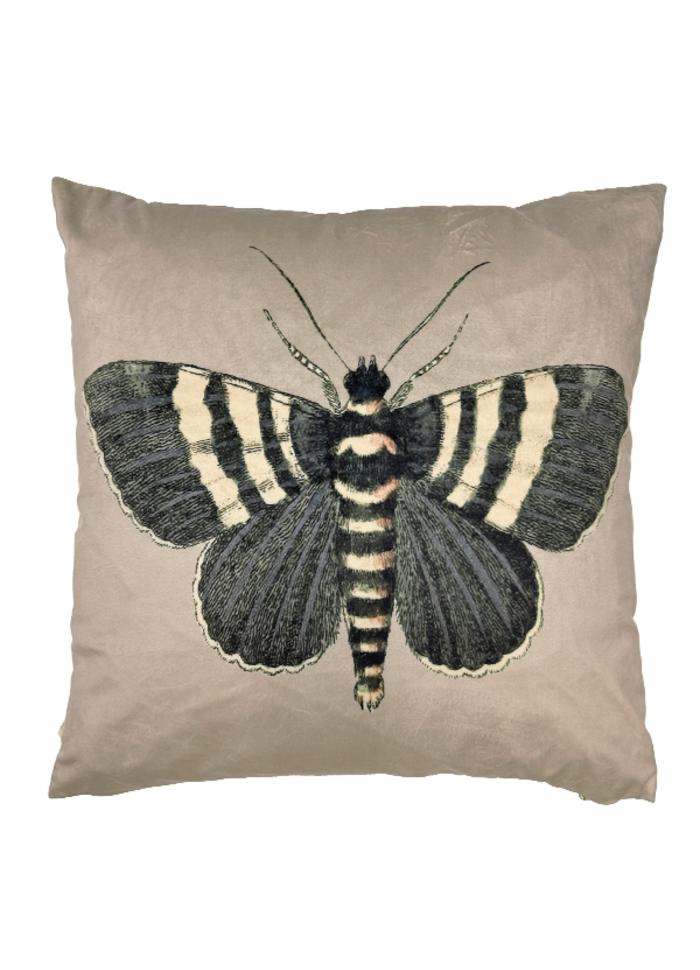 Black Butterfly Cushion