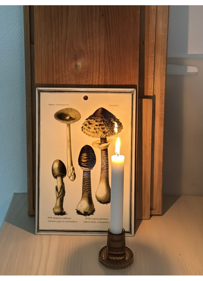 Mushroom Ceramic Board