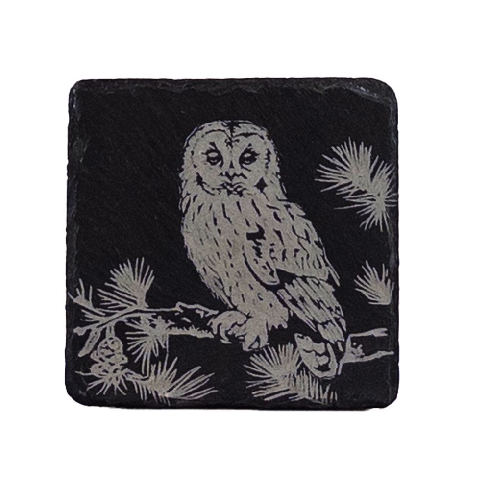 Single Slate Coaster - Tawny Owl