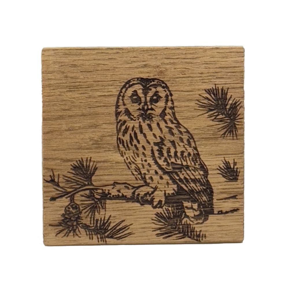 Single Oak Coaster - Tawny Owl