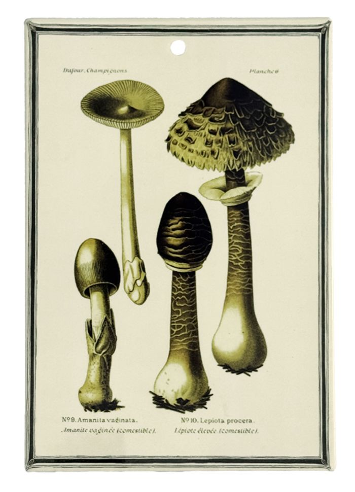 Mushroom Ceramic Board