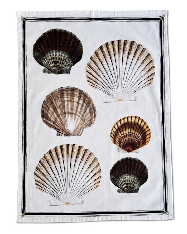 Scallop Shells T Towel