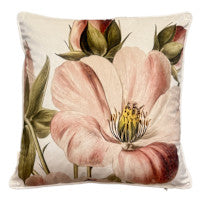 Rose Tan w/piping Velvet Cushion