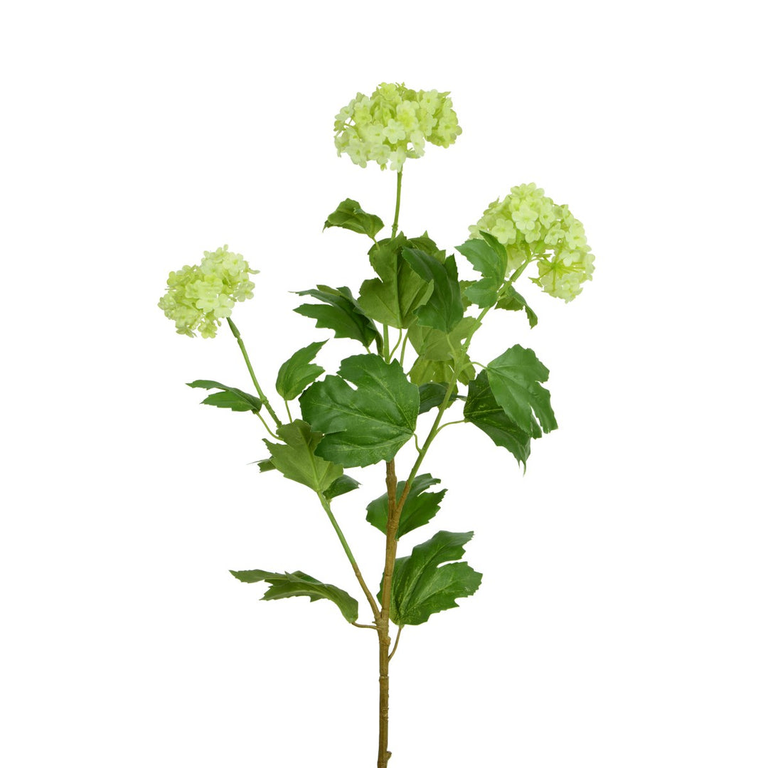 VIBURNUM SPRAY-78 CREAM/GREEN