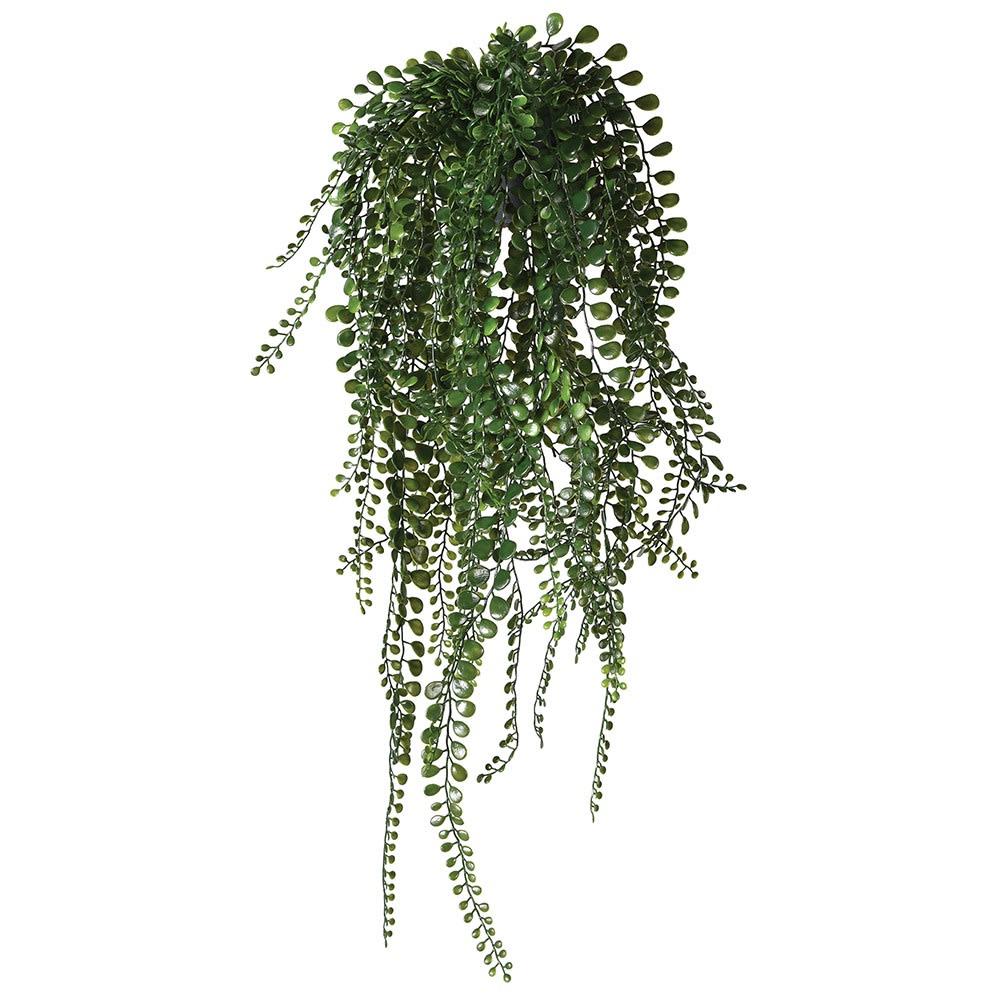 Pea Leaf Hanging Plant