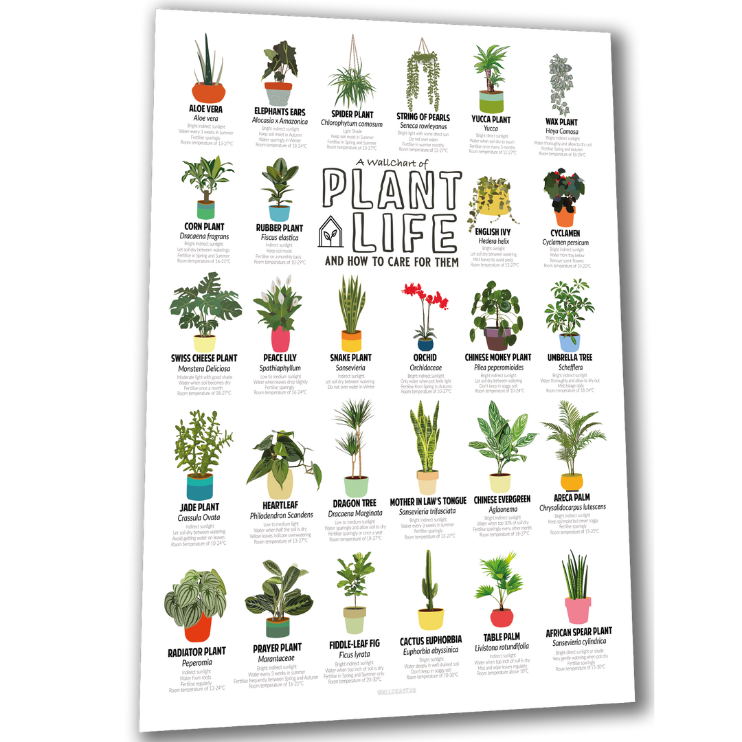 A2 Print Plant Life